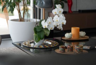 Luxueux appartement avec piscine privée à Savièse, Valais
